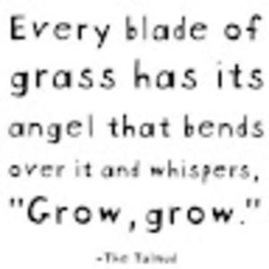 Meet your Posher, Esther